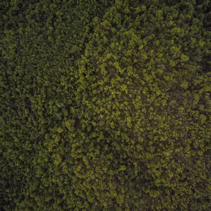 哪个蜘蛛池最新上线时间活动