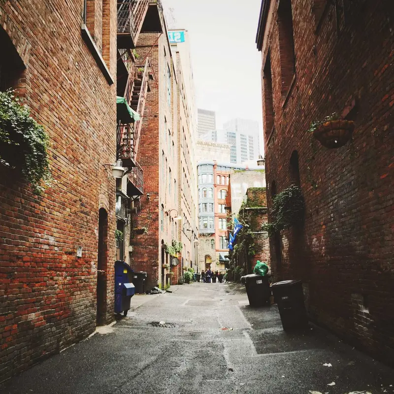 德网站建设