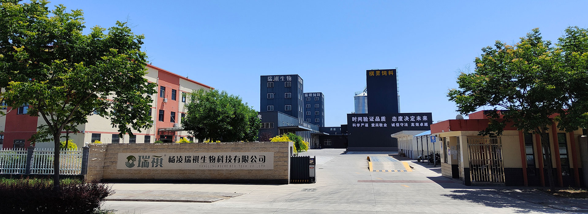 圖片三